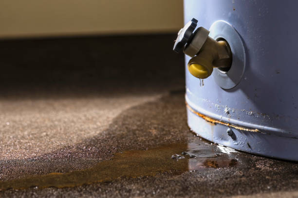 Best Residential water damage restoration  in Markesan, WI