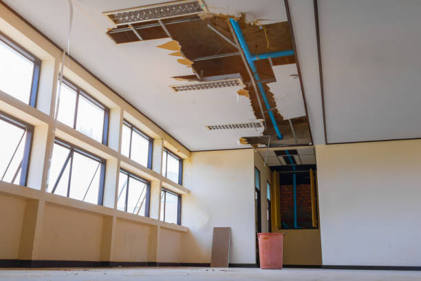 Best Basement water damage restoration  in Markesan, WI
