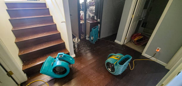 Best Ceiling water damage repair  in Markesan, WI