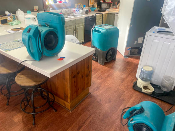 Best 24/7 water damage repair  in Markesan, WI