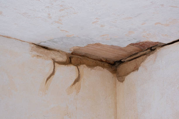 Best Flooded house restoration  in Markesan, WI