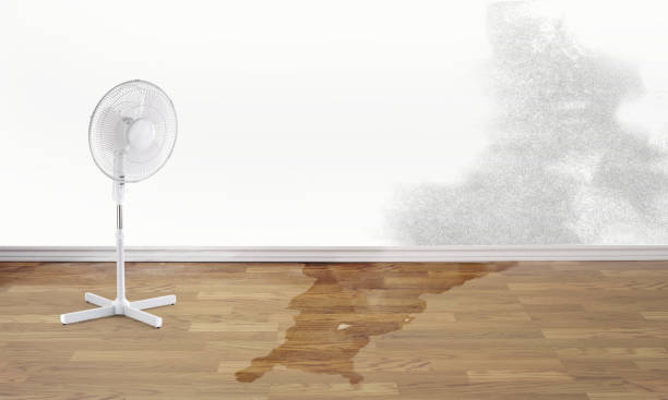 Best Water damage restoration near me  in Markesan, WI