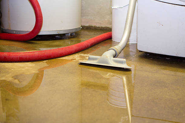 Best Water damage cleanup near me  in Markesan, WI