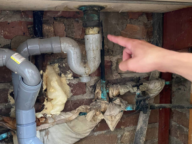 Best Carpet water damage restoration  in Markesan, WI
