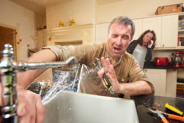 Best Professional water damage repair  in Markesan, WI